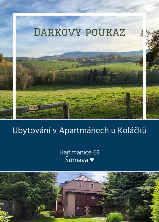 Apartmány u Koláčků Hartmanice (Pilsen) Exterior foto